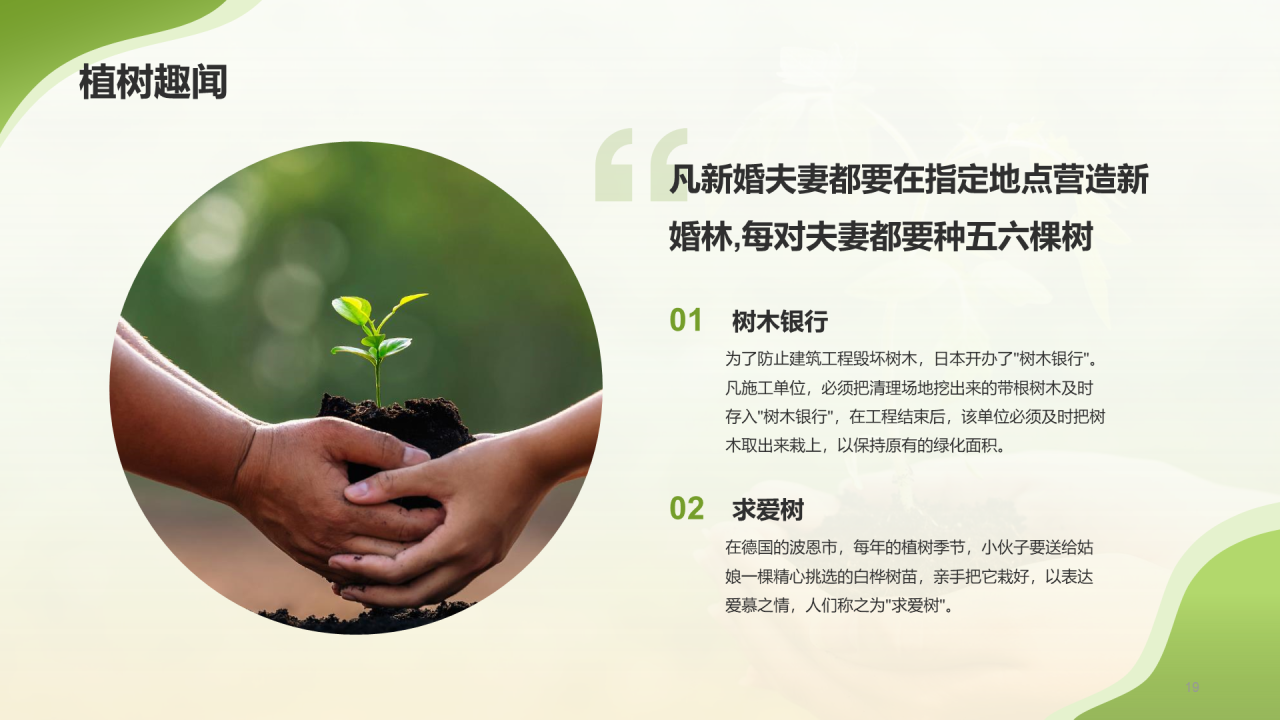 绿色商务植树节科普介绍模板