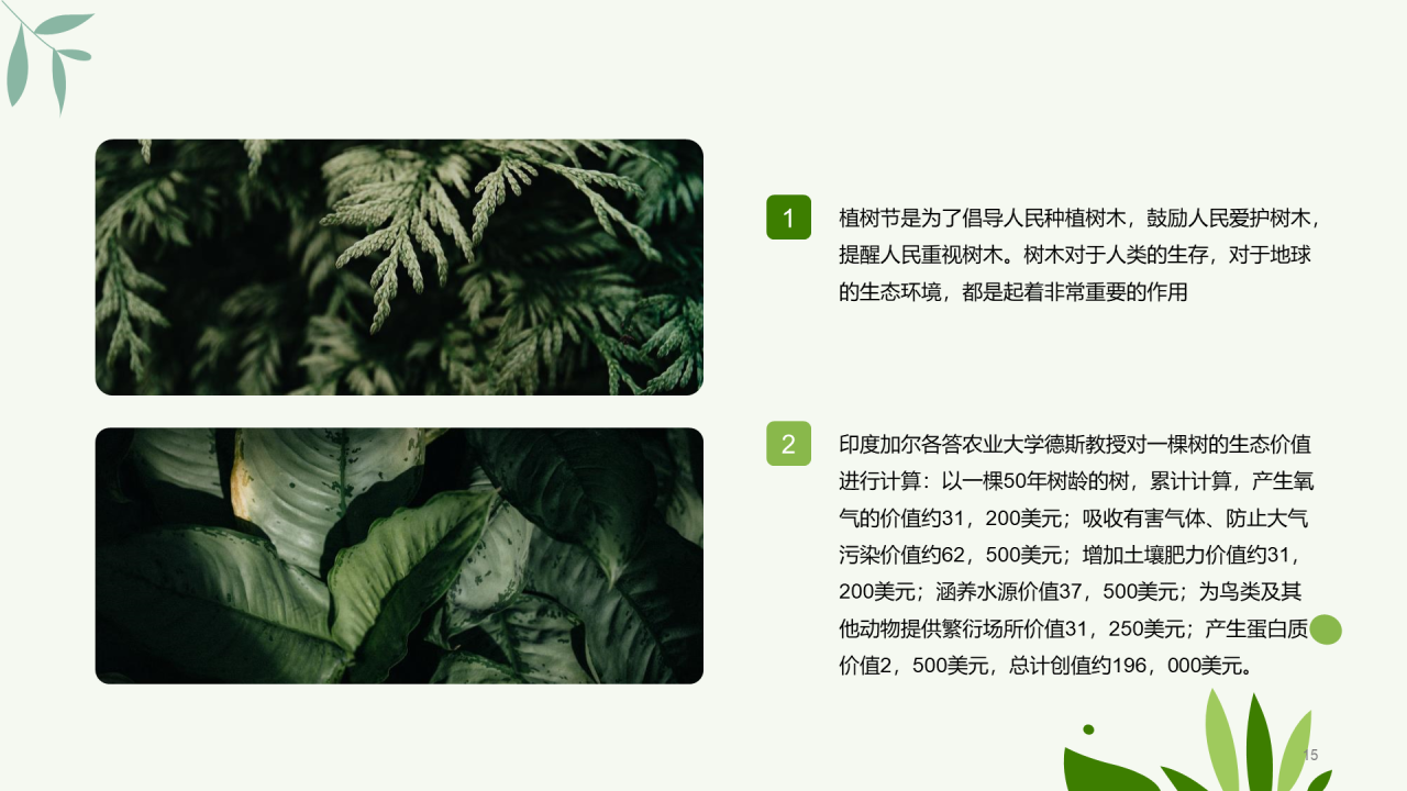 绿色简约扁平植树节节日科普PPT