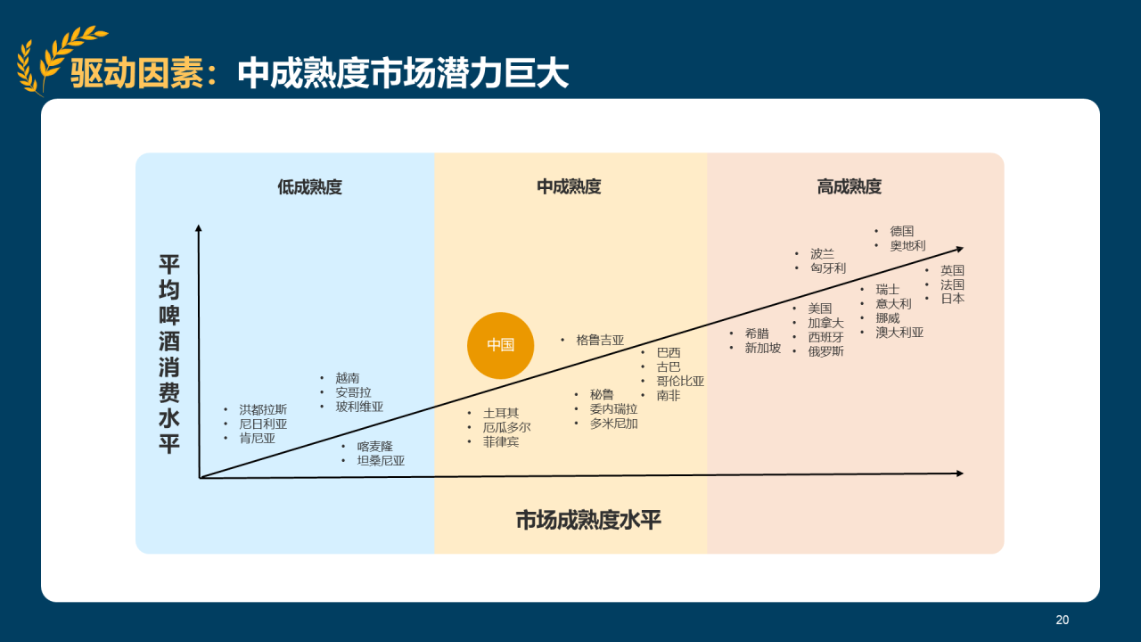 蓝色插画精酿啤酒研究报告