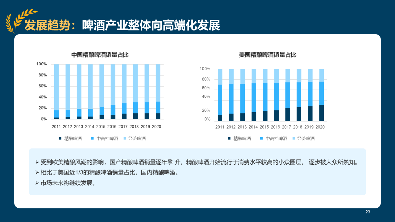 蓝色插画精酿啤酒研究报告