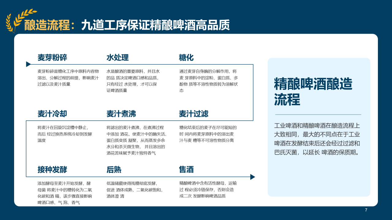 蓝色插画精酿啤酒研究报告