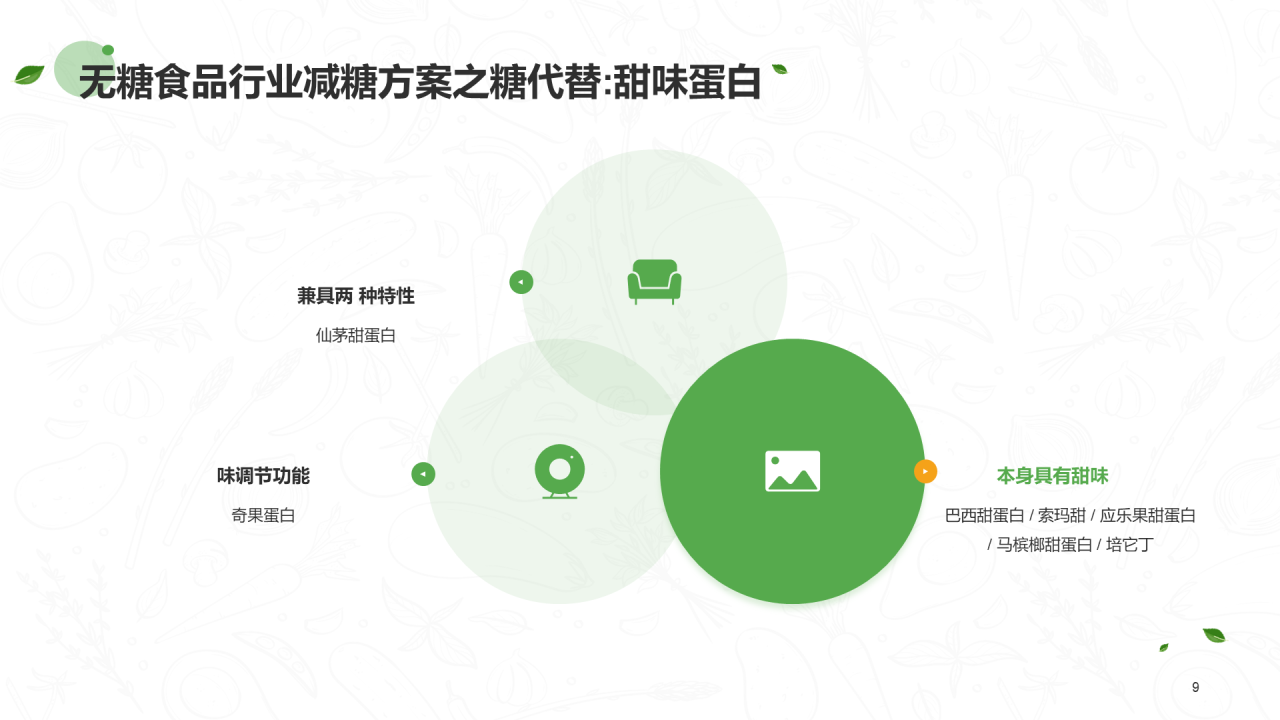 绿色插画无糖食品行业研究报告