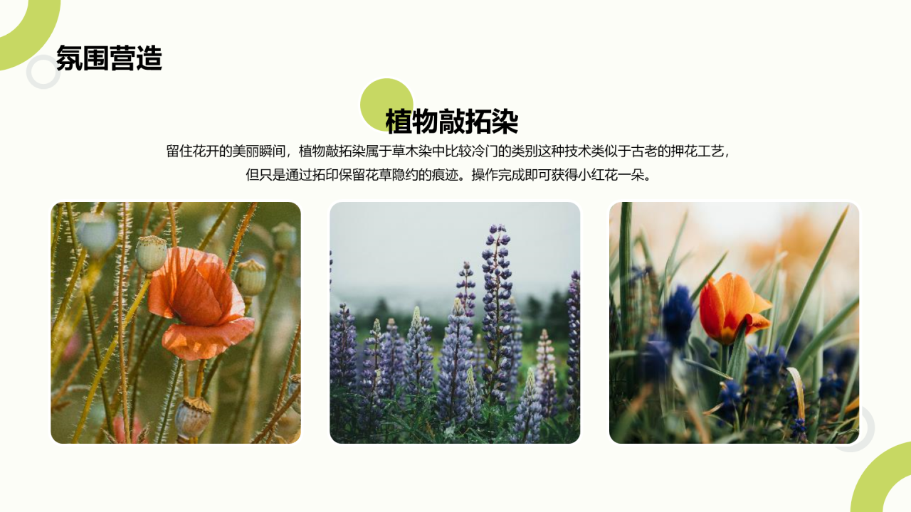 绿色花young世界主题暖场活动方案PPT
