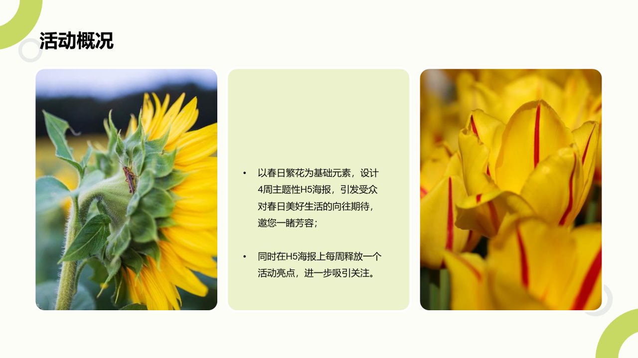 绿色花young世界主题暖场活动方案PPT