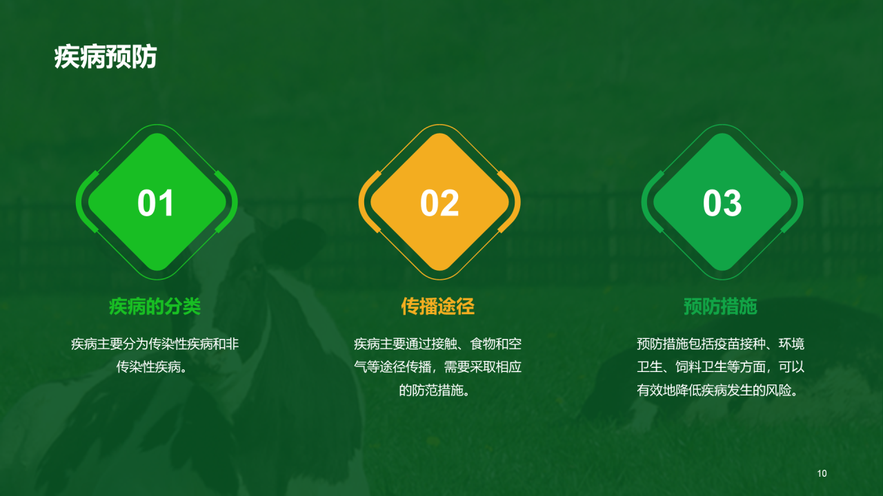 绿色现代养殖流程管理与疾病预防PPT模板