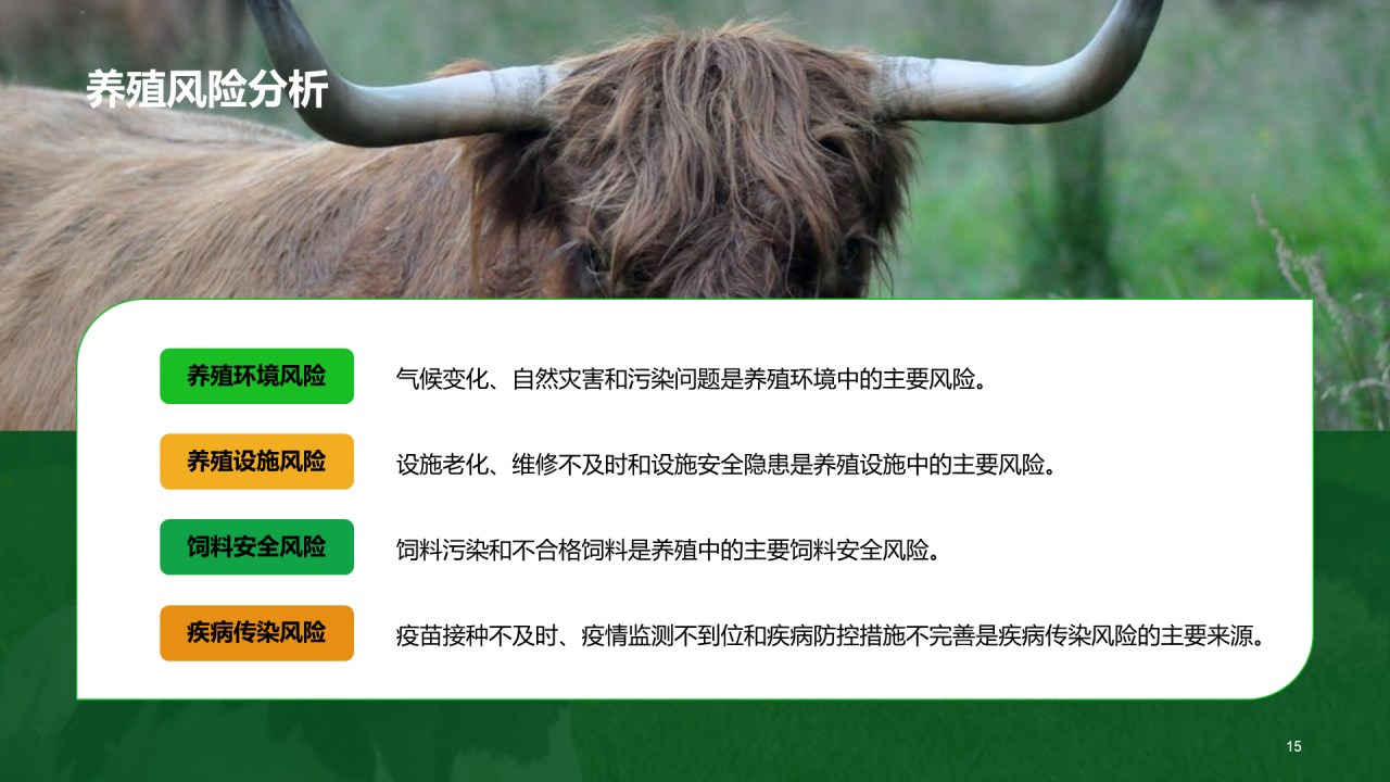 绿色现代养殖流程管理与疾病预防PPT模板