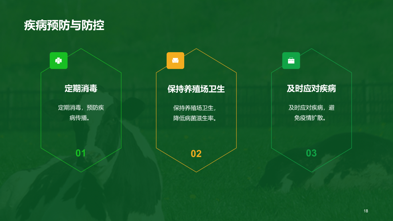 绿色现代养殖流程管理与疾病预防PPT模板