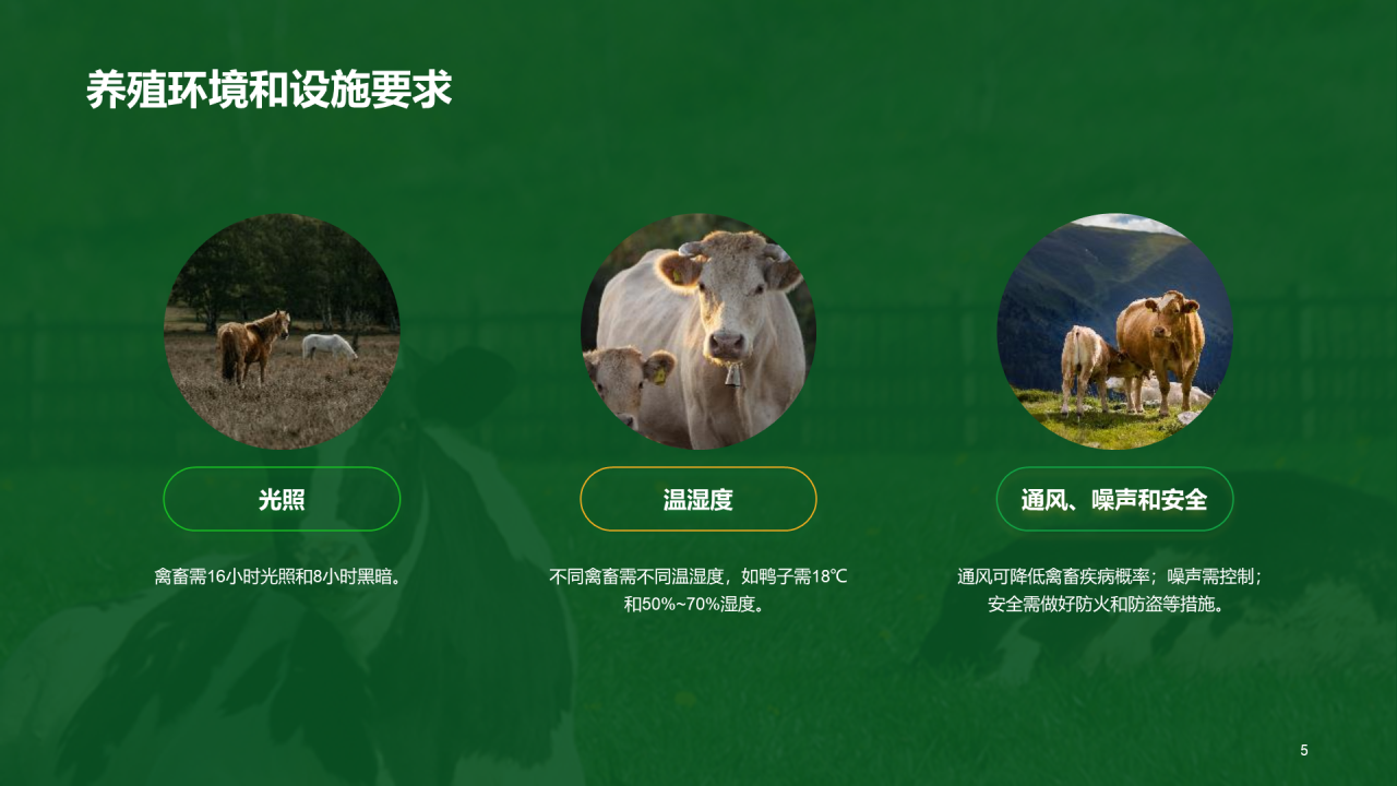 绿色现代养殖流程管理与疾病预防PPT模板