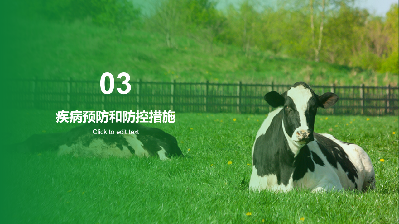 绿色现代养殖流程管理与疾病预防PPT模板