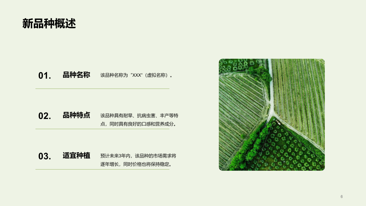 绿色现代农业新品种推广会发布会PPT模板