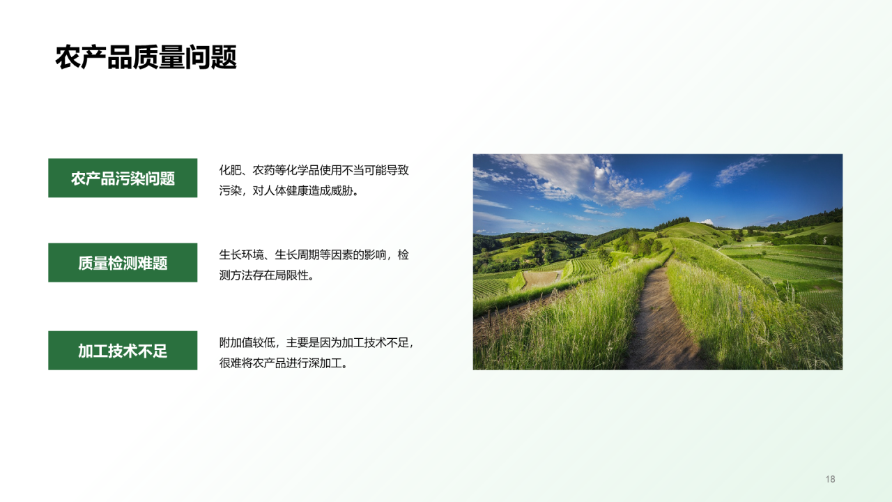 绿色插画农田观察与体验研究报告PPT模板