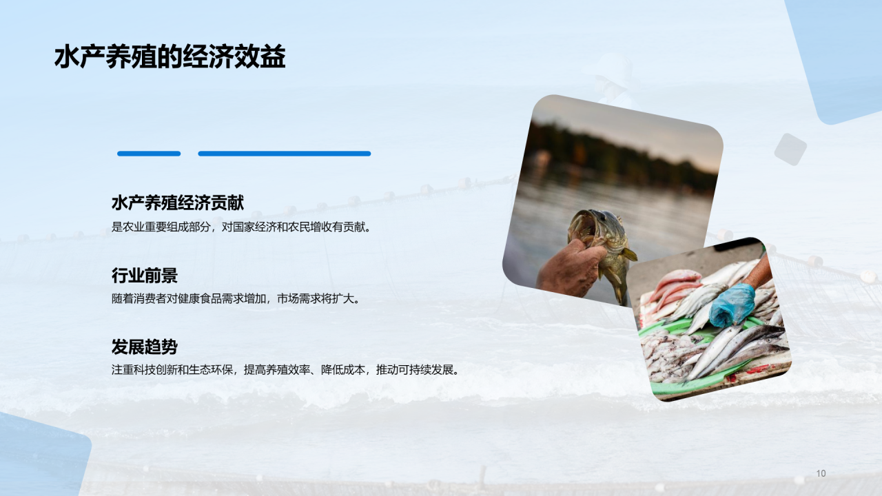 蓝色现代商务水产养殖技术科普PPT模板