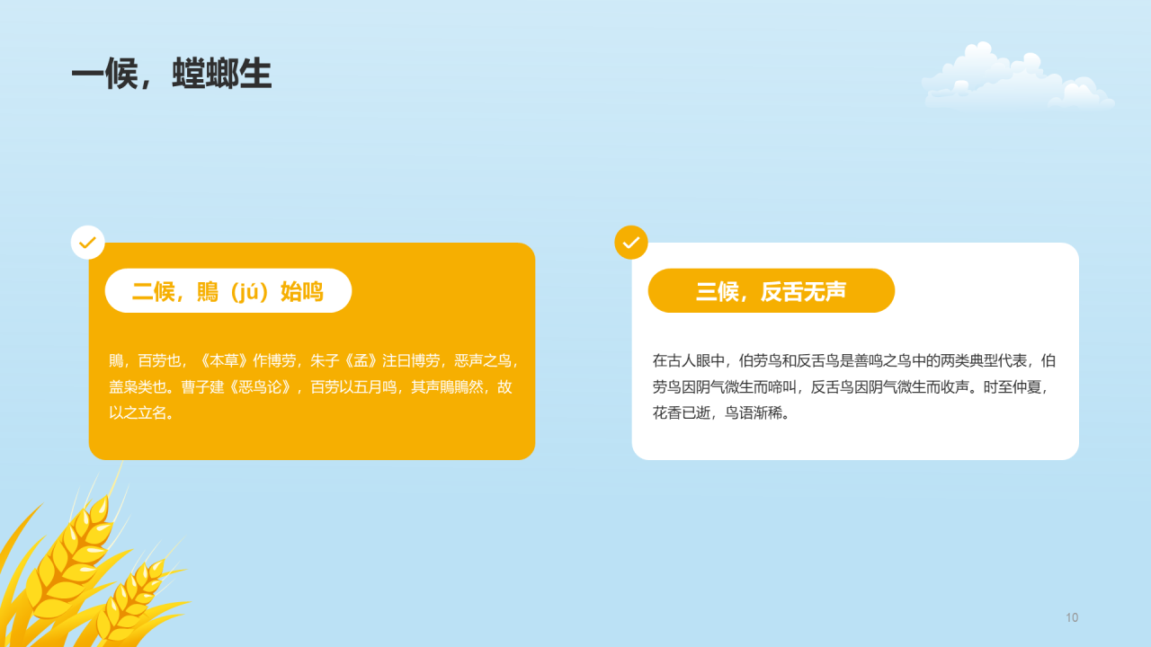 黄色插画二十四节气芒种科普介绍PPT模板