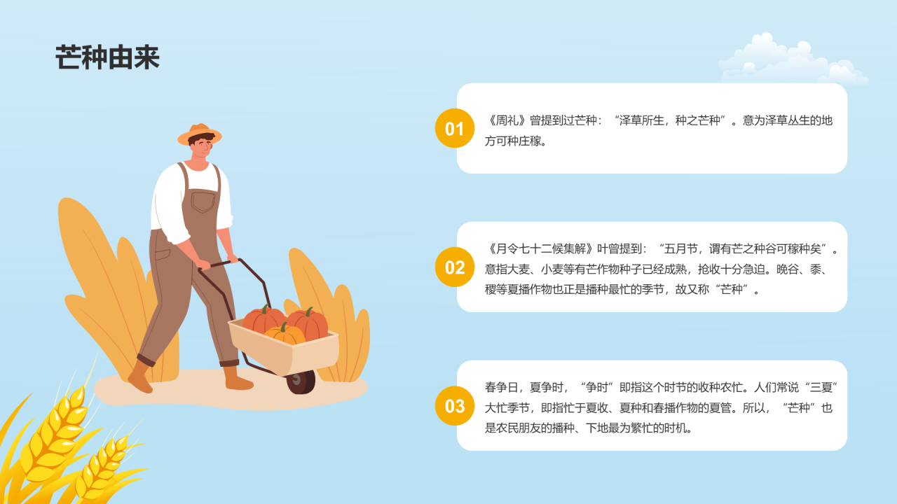 黄色插画二十四节气芒种科普介绍PPT模板