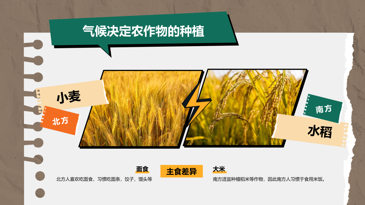 “我与我的家乡”PPT征集大赛案例——南北差异