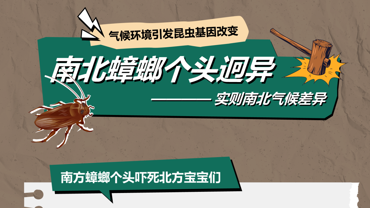 “我与我的家乡”PPT征集大赛案例——南北差异