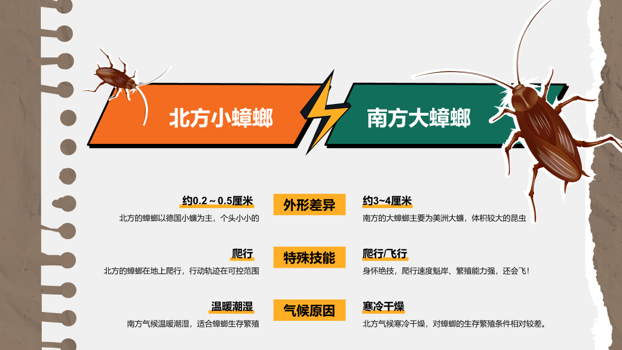 “我与我的家乡”PPT征集大赛案例——南北差异
