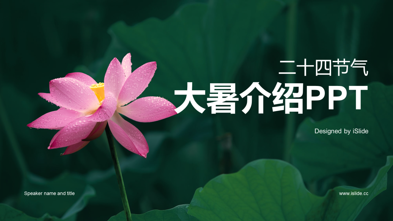 绿色现代商务十四节气大暑介绍PPT模板