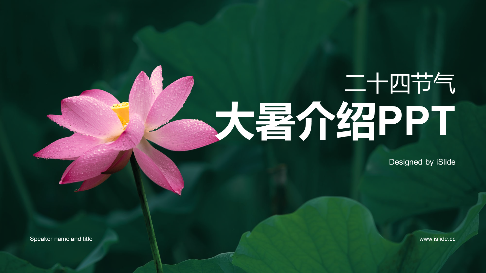 绿色现代商务十四节气大暑介绍PPT模板