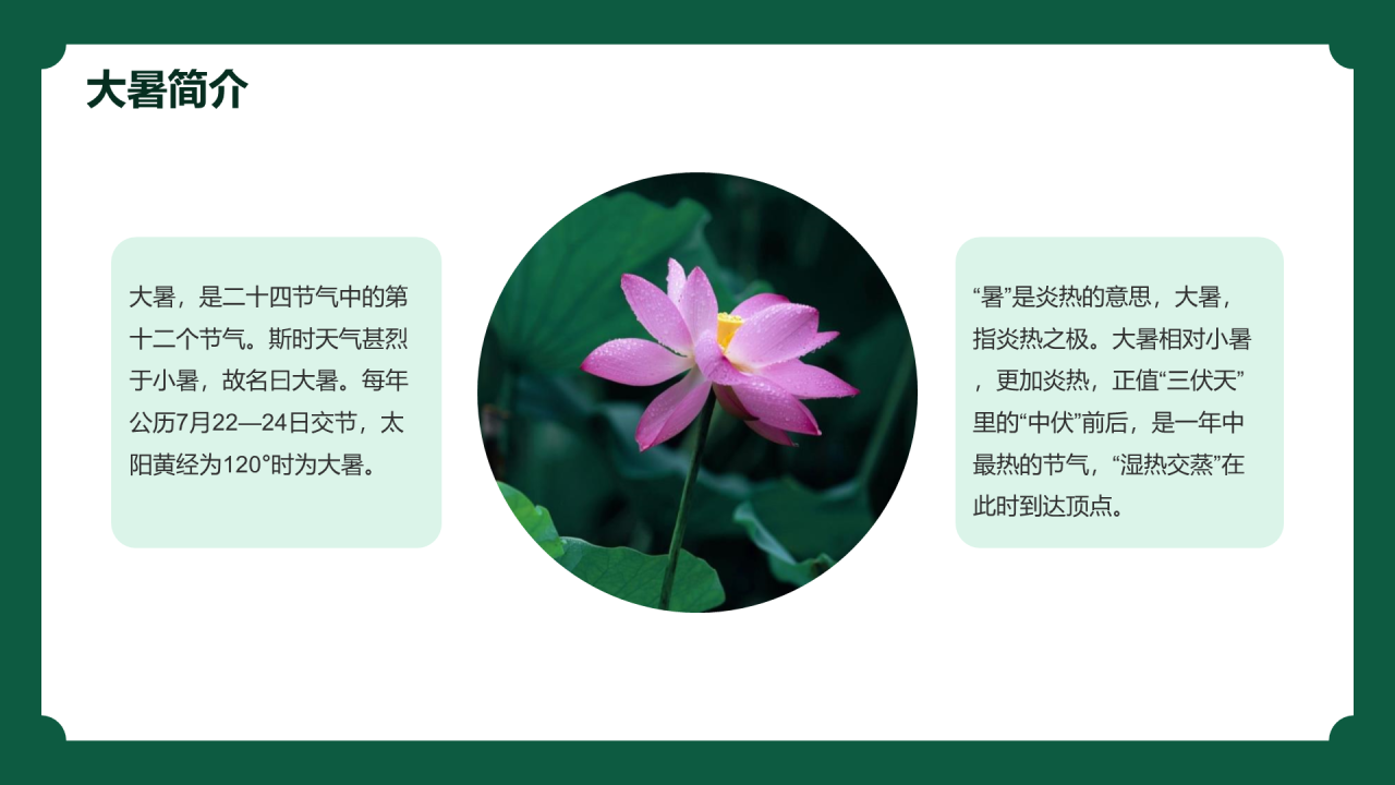 绿色现代商务十四节气大暑介绍PPT模板