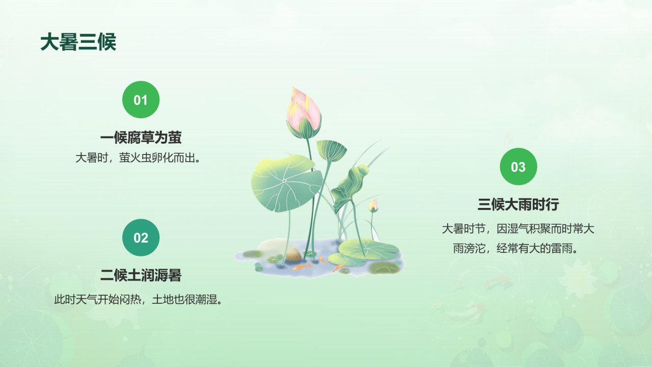 绿色插画二十四节气大暑介绍PPT模板