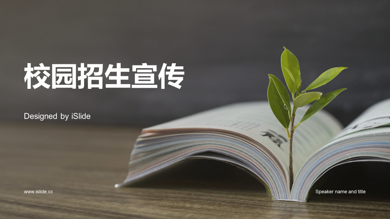 绿棕色商务现代校园招生宣传PPT模板
