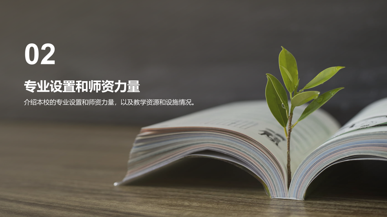绿棕色商务现代校园招生宣传PPT模板