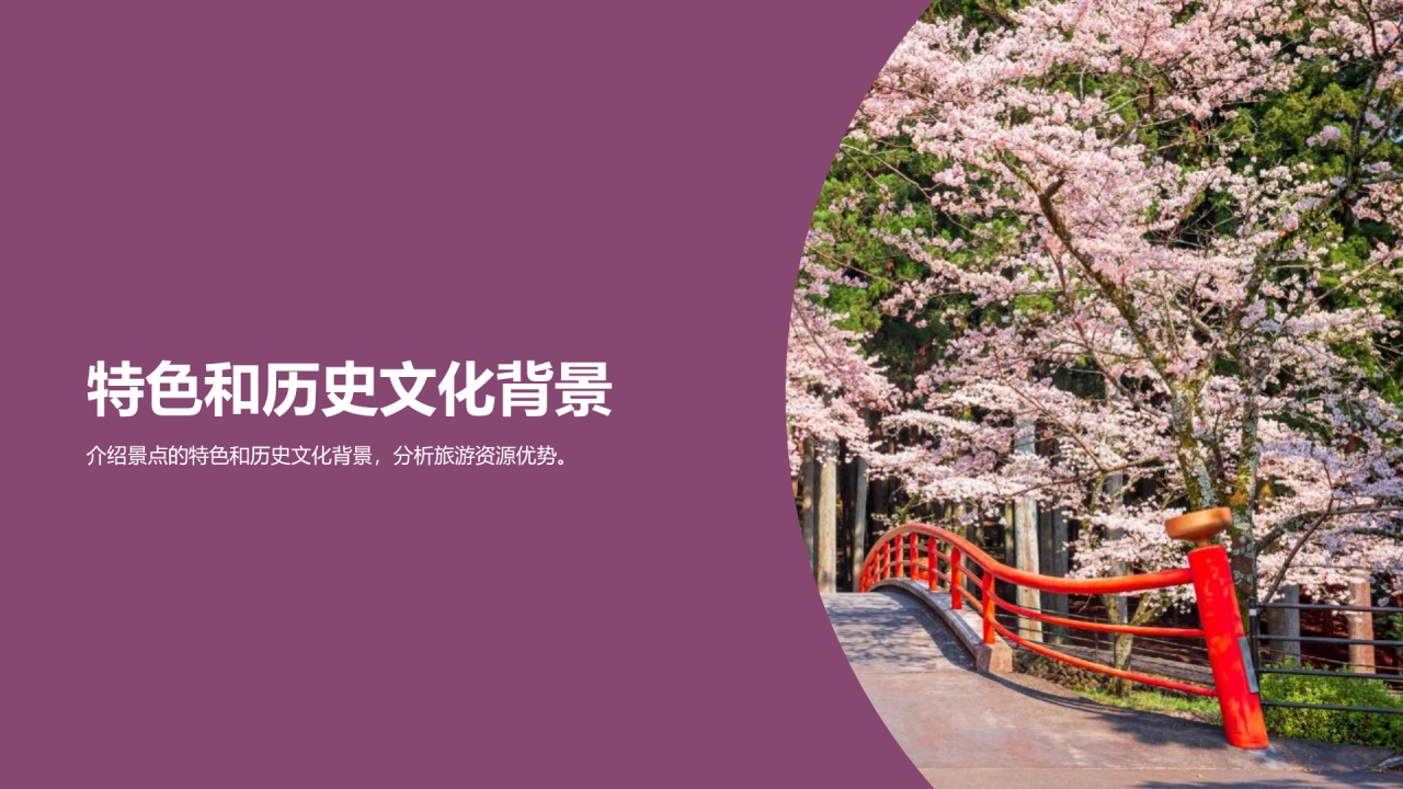 紫色商务现代景点旅游开发商业计划书PPT模板