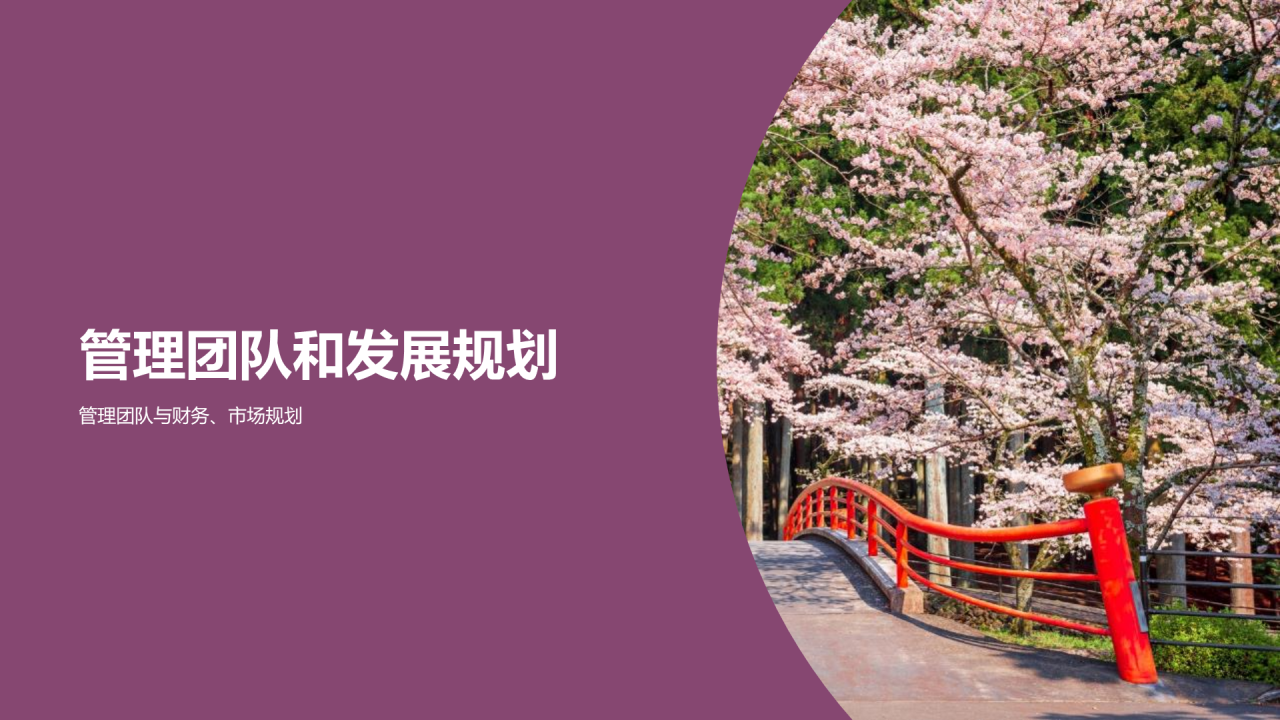 紫色商务现代景点旅游开发商业计划书PPT模板