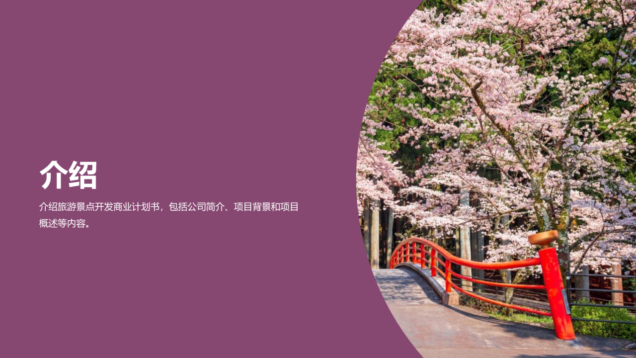 紫色商务现代景点旅游开发商业计划书PPT模板