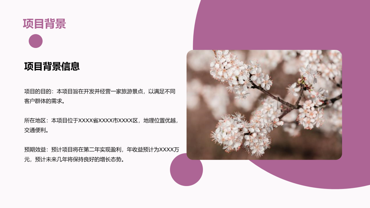 紫色商务现代景点旅游开发商业计划书PPT模板