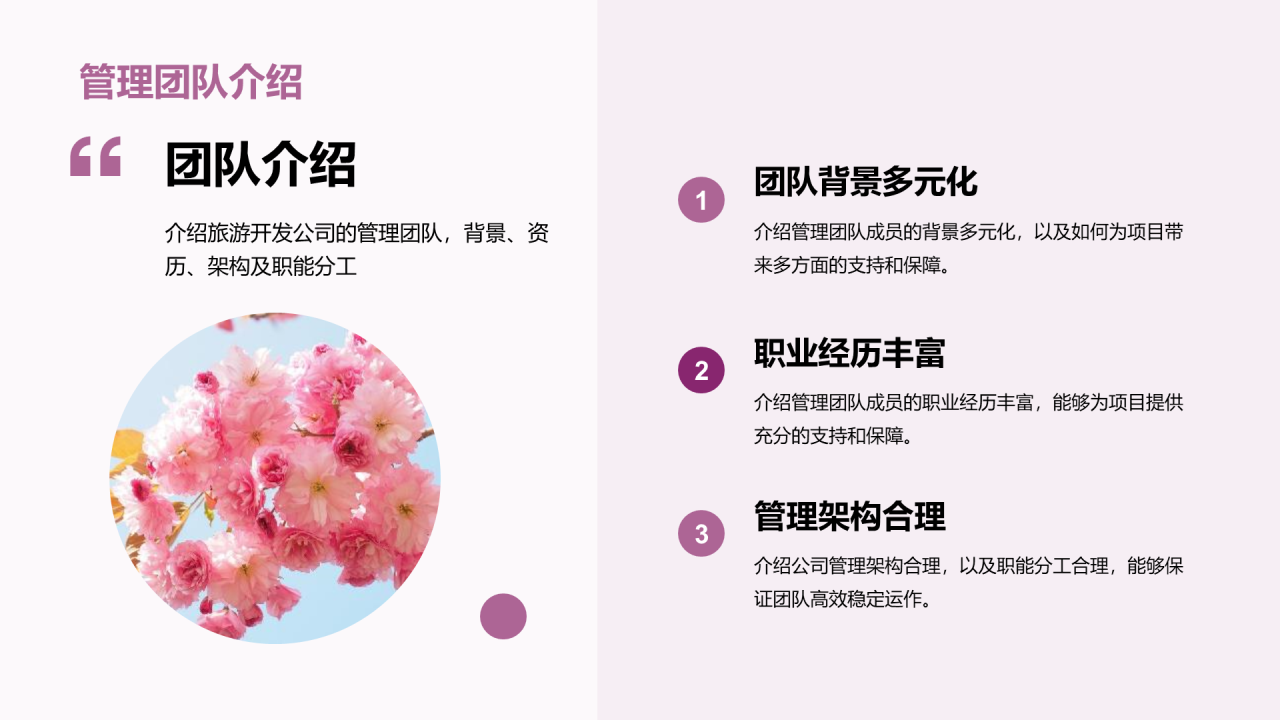 紫色商务现代景点旅游开发商业计划书PPT模板