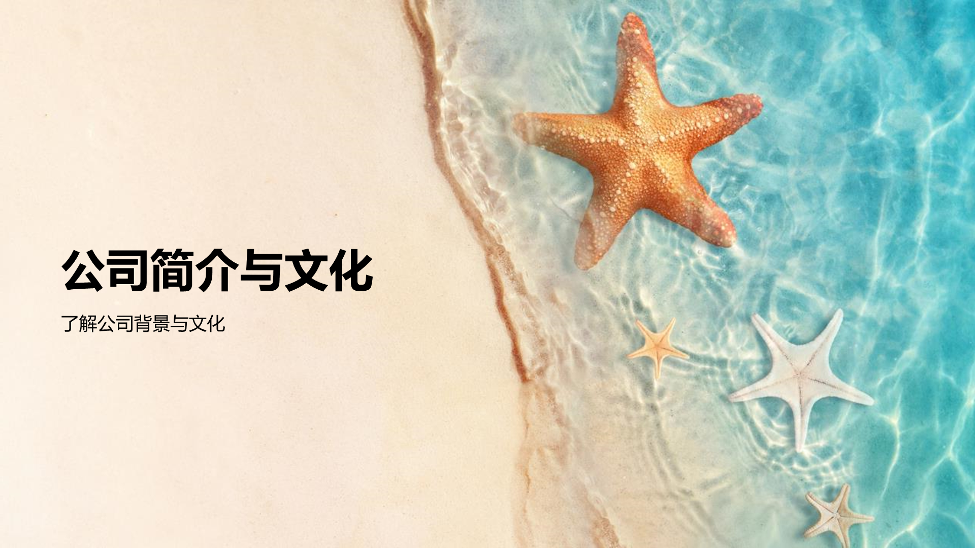 绿色商务现代露营地服务使命商业计划PPT模板