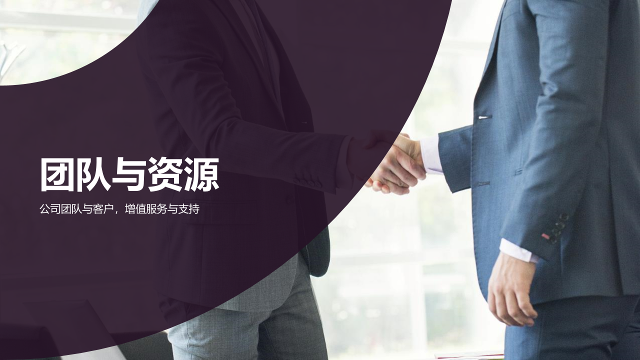 紫色商务现代一站式财务解决方案PPT模板