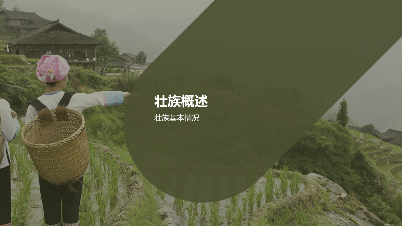 绿色现代壮族文化解析介绍PPT模板