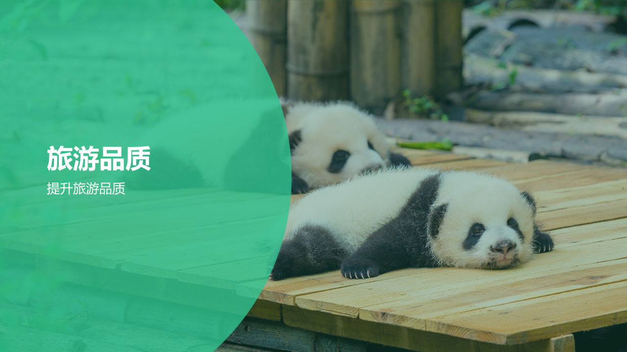 绿色现代成都旅游创新策划PPT模板