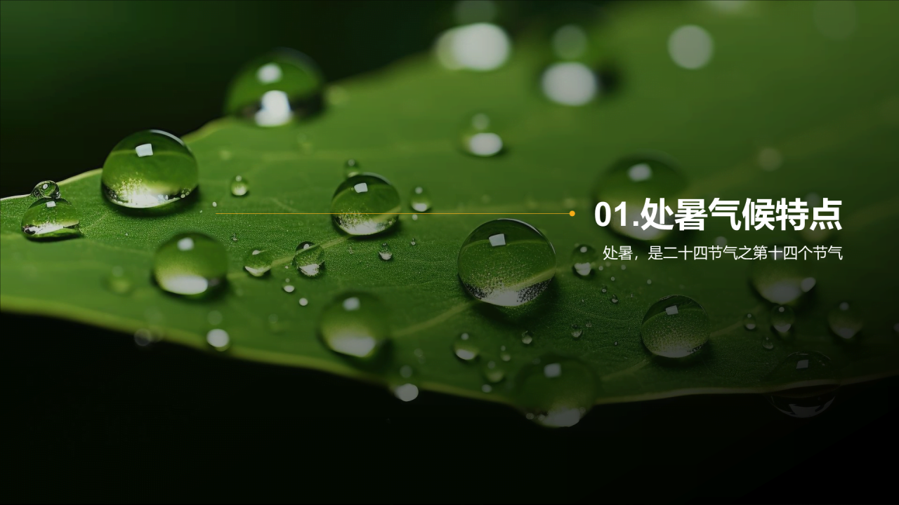 绿色商务二十四节气处暑气候科普PPT模板