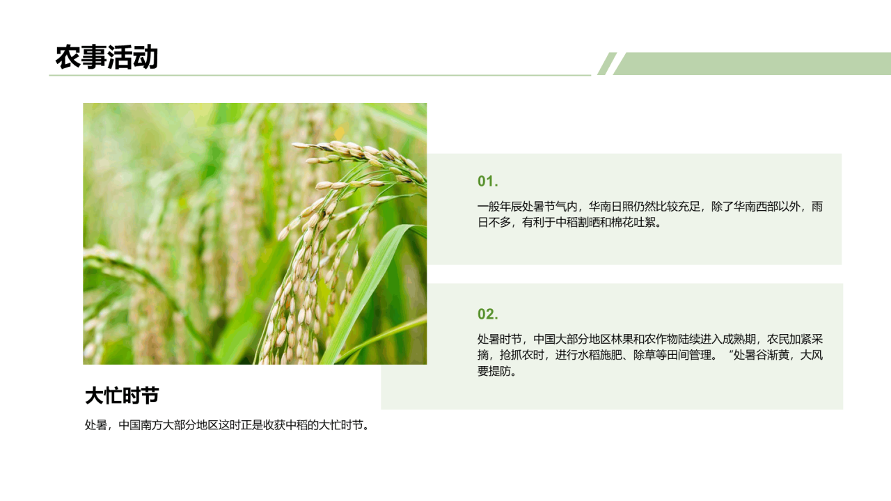 绿色商务二十四节气处暑气候科普PPT模板