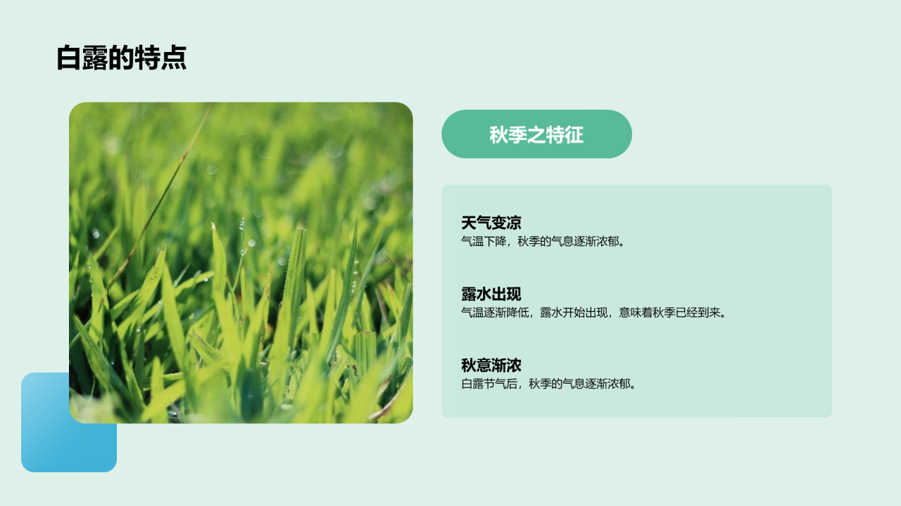 绿色现代商务白露节气传统文化介绍PPT模板