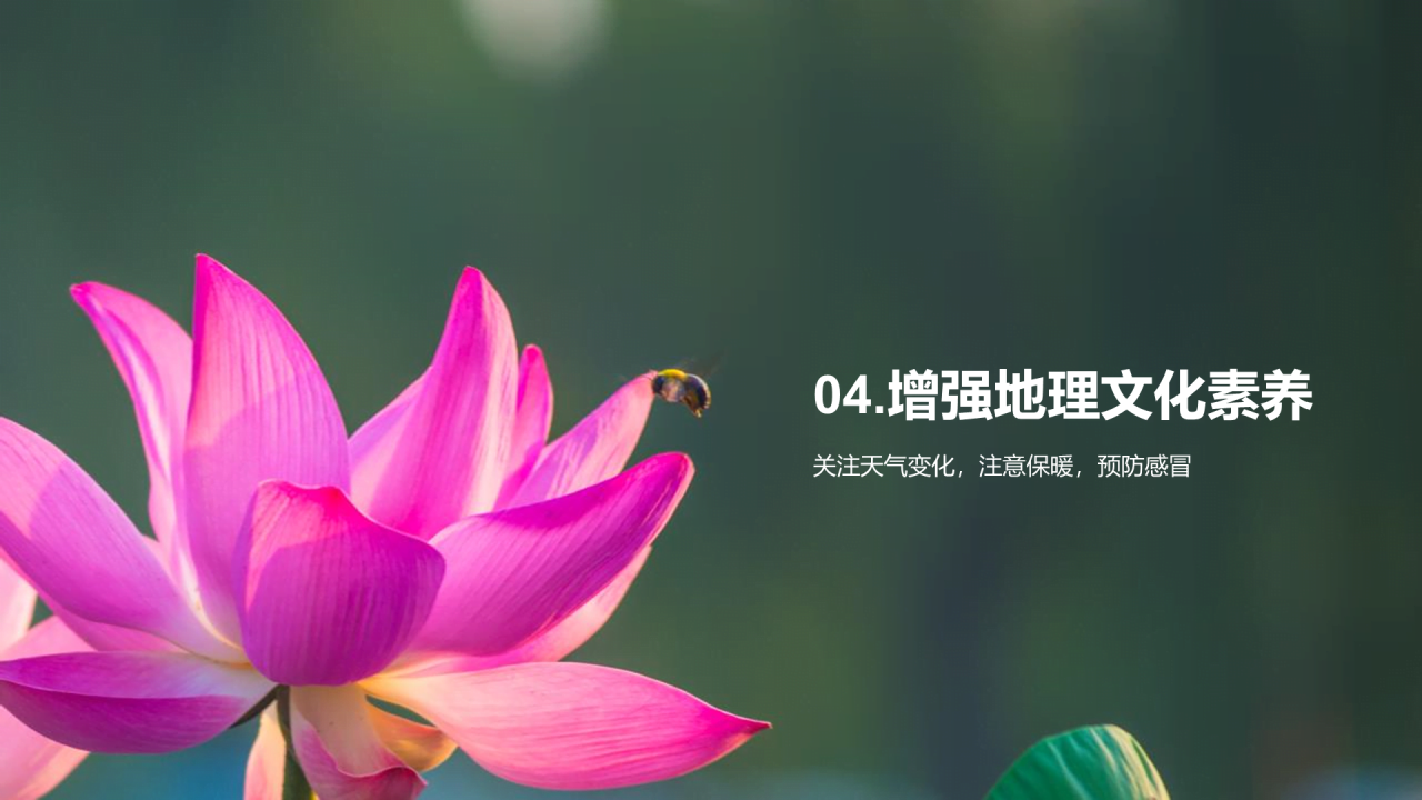 绿色现代商务白露节气传统文化介绍PPT模板