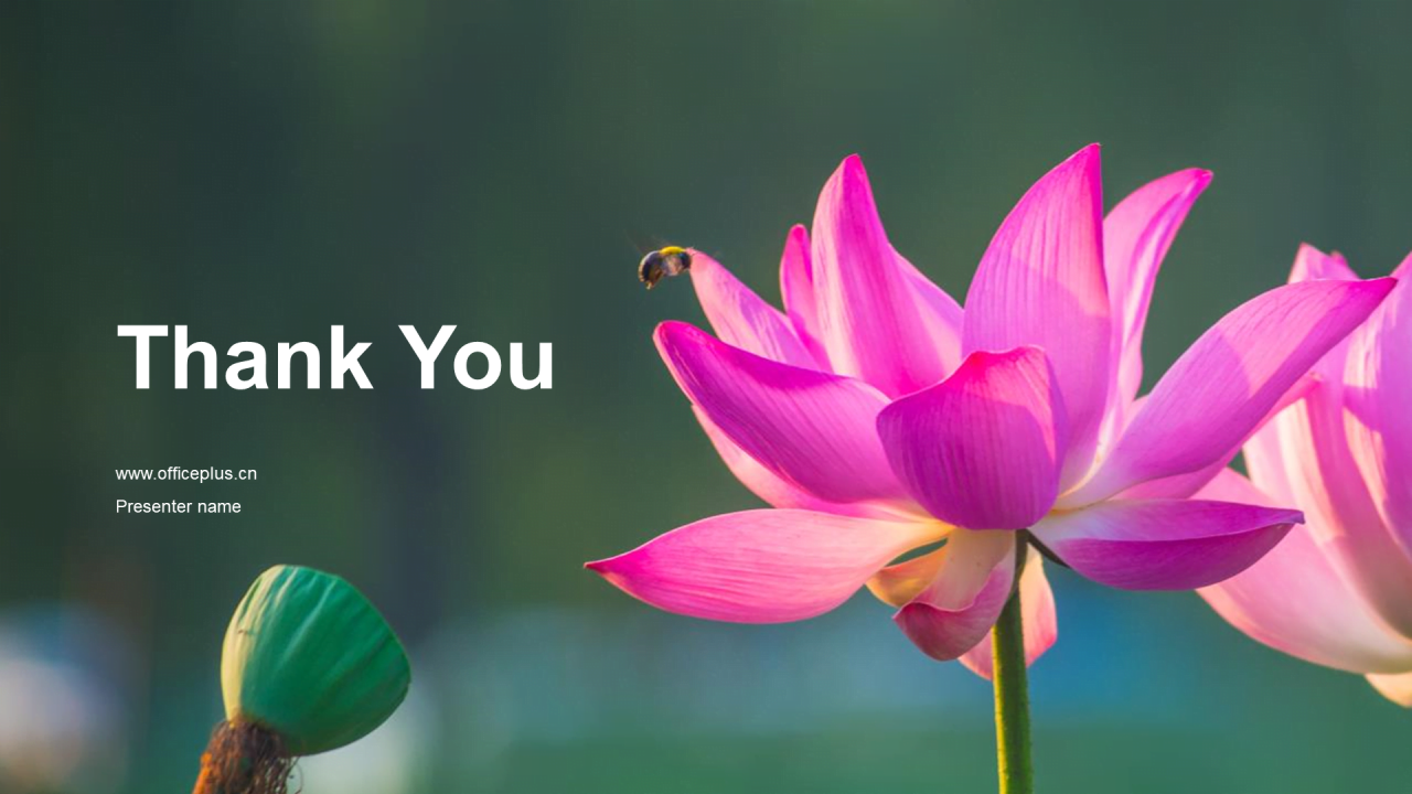 绿色现代商务白露节气传统文化介绍PPT模板