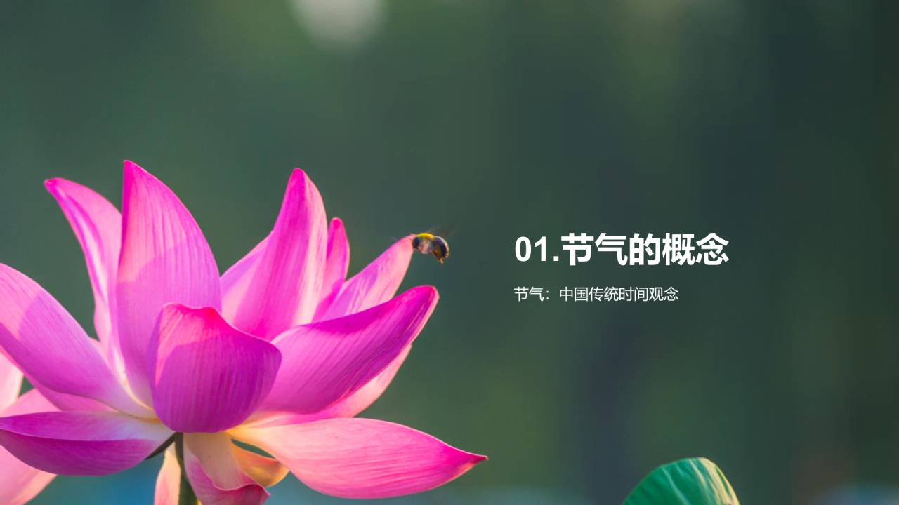 绿色现代商务白露节气传统文化介绍PPT模板