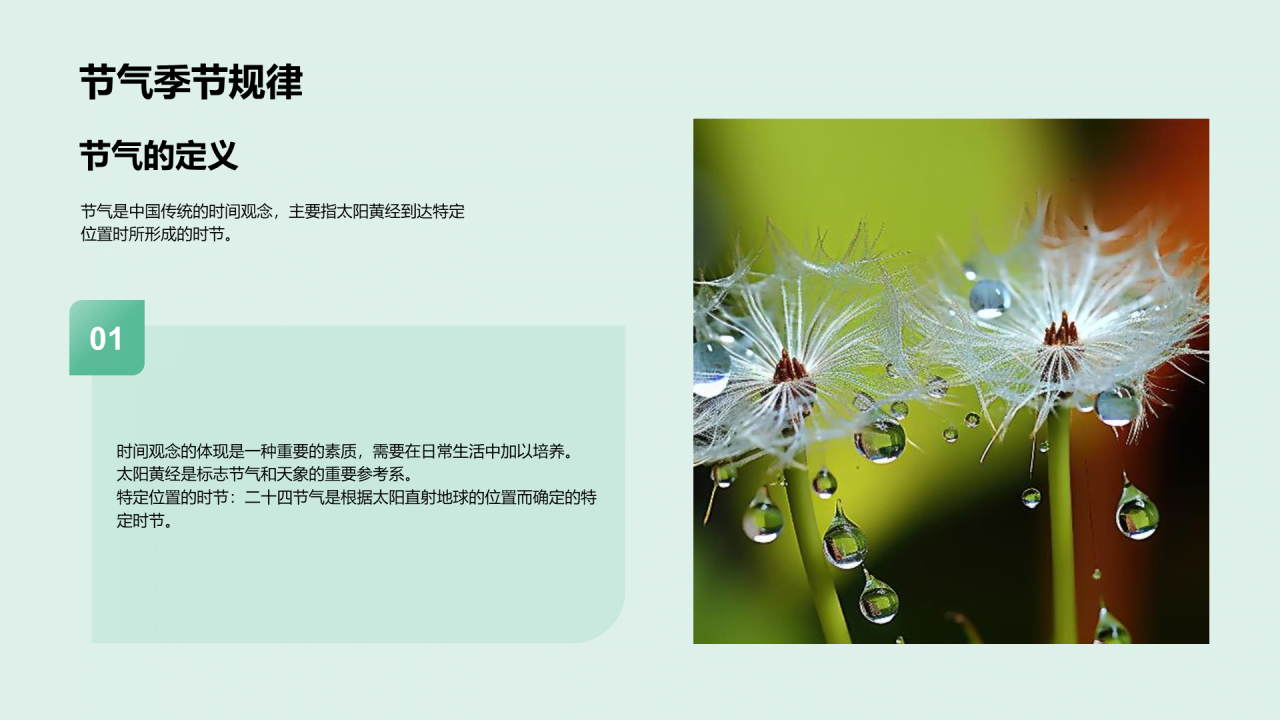 绿色现代商务白露节气传统文化介绍PPT模板