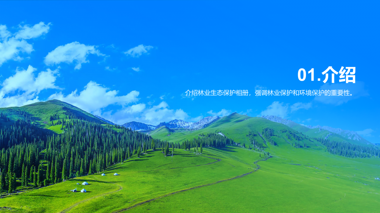 蓝色商务现代林业生态保护相册PPT模板