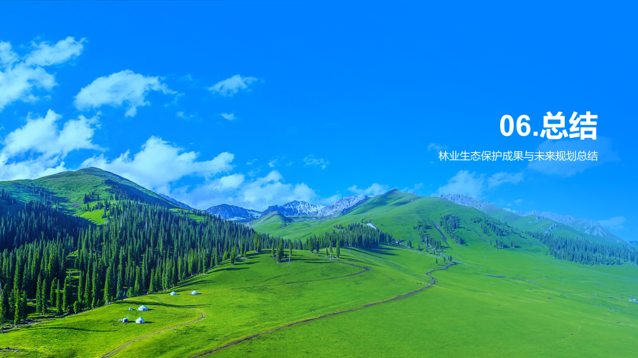 蓝色商务现代林业生态保护相册PPT模板