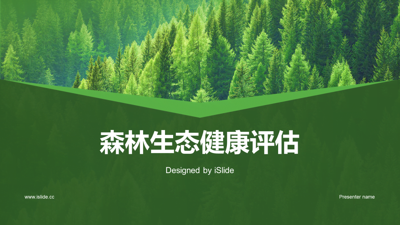 绿色简约森林生态健康评估PPT模板