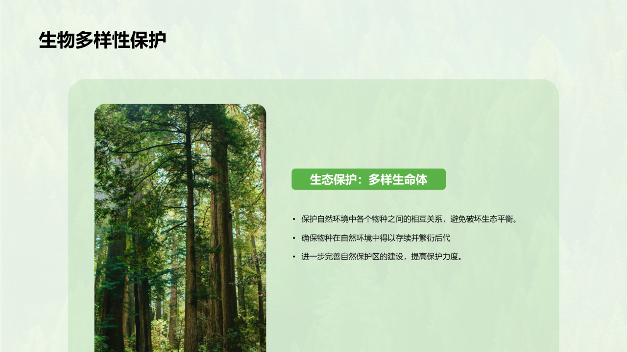 绿色简约森林生态健康评估PPT模板