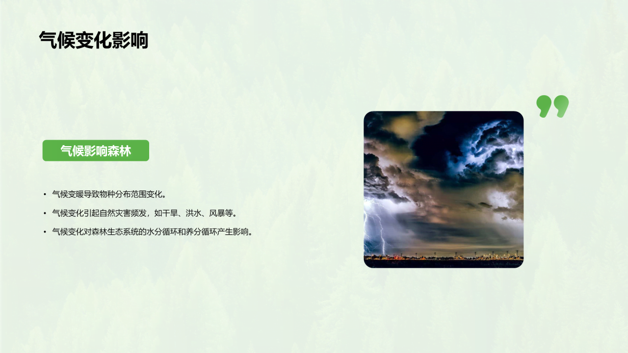 绿色简约森林生态健康评估PPT模板