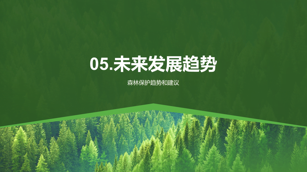 绿色简约森林生态健康评估PPT模板