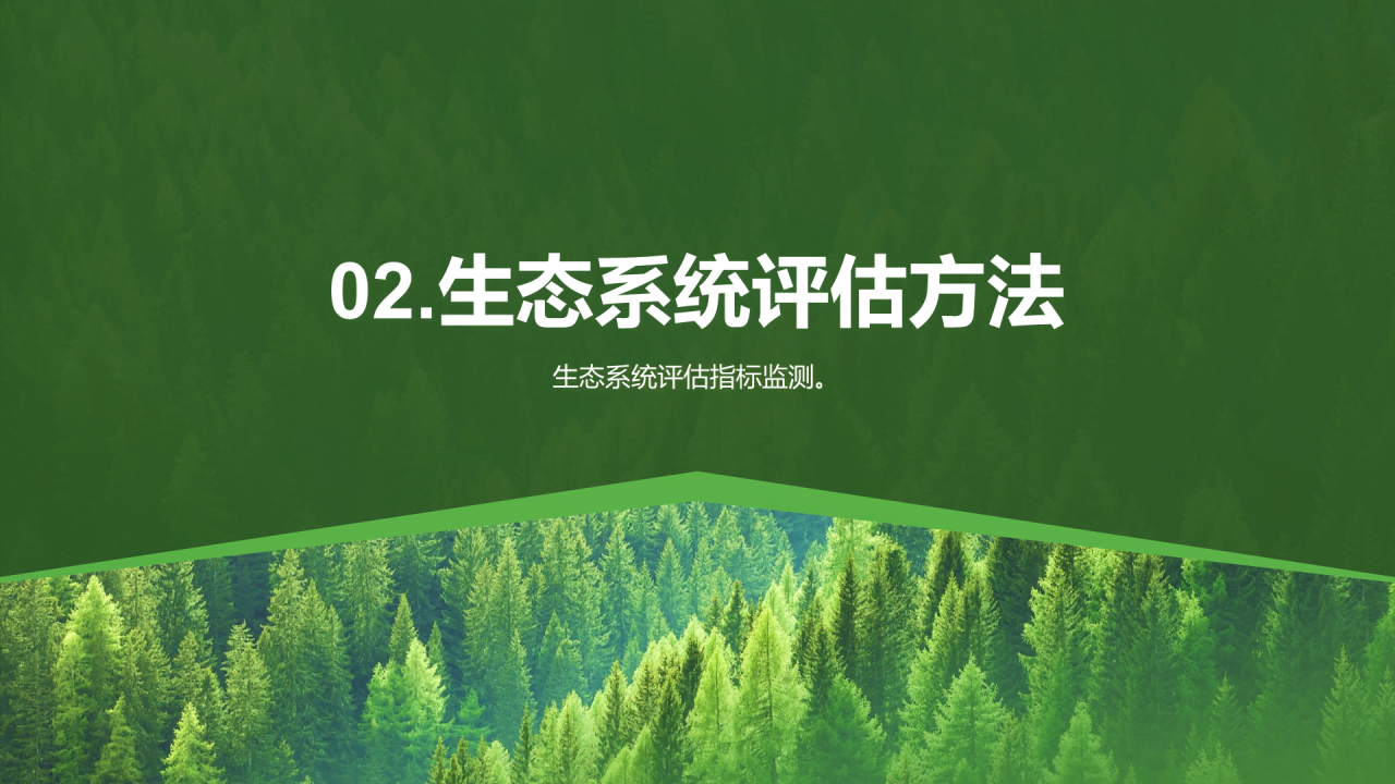 绿色简约森林生态健康评估PPT模板